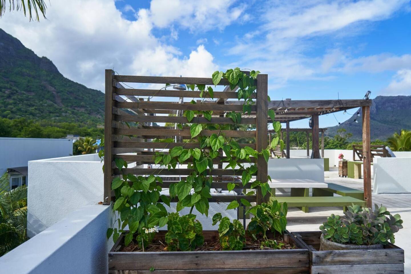 Loukaz -Entire Rental Units W Panoramic Rooftop Coteau Raffin Bagian luar foto
